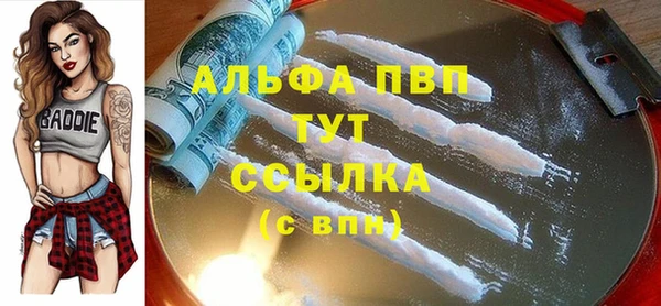 бошки Инта