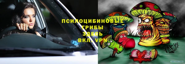 ешки Аркадак