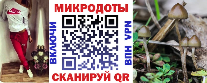 Галлюциногенные грибы Cubensis  МЕГА   Суоярви 